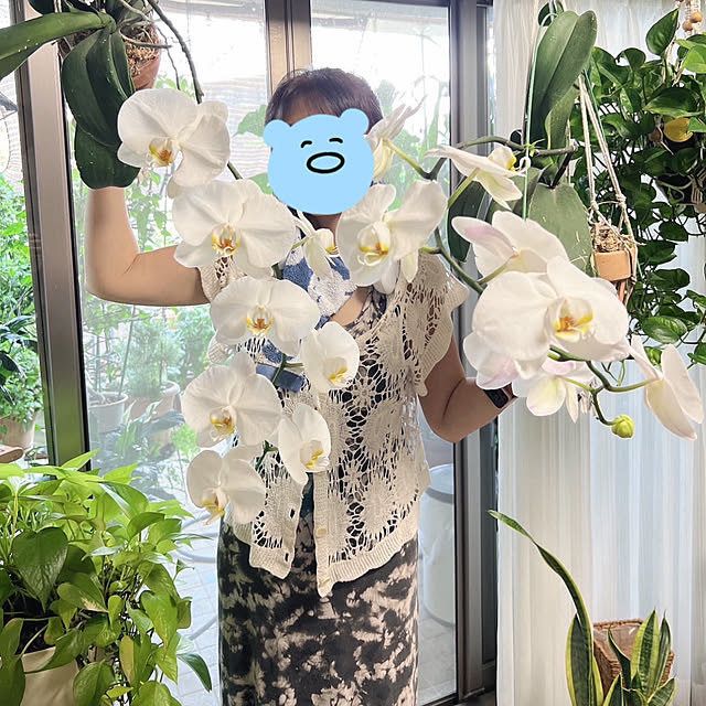 Aqettyさんの部屋