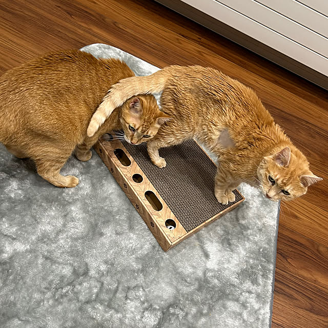 mikeume7さんの部屋