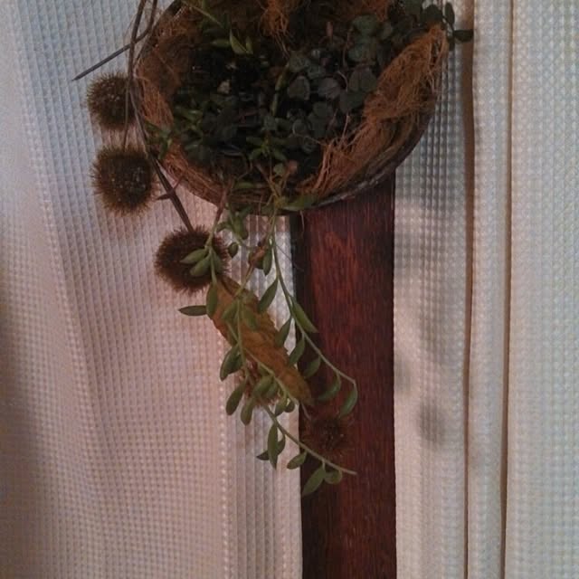saraさんの実例写真