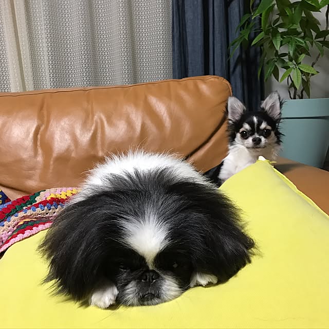 rinaさんの実例写真