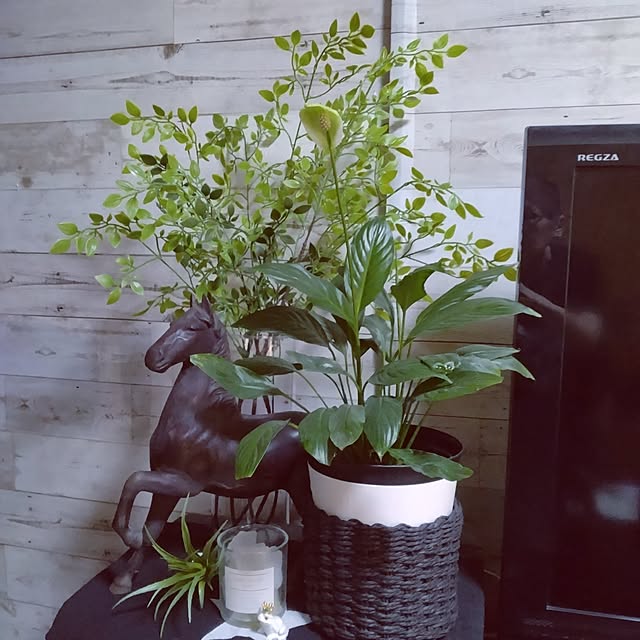 runaさんの部屋
