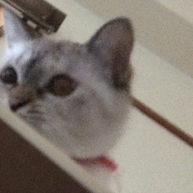 nachuさんの実例写真