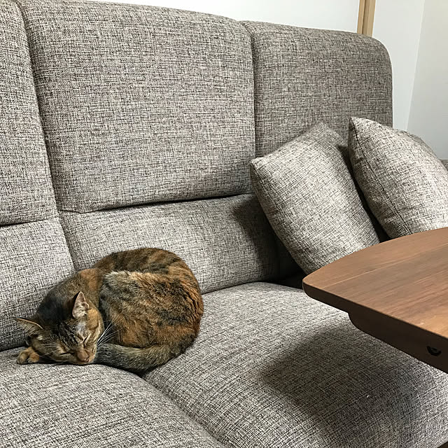 moka06さんの実例写真