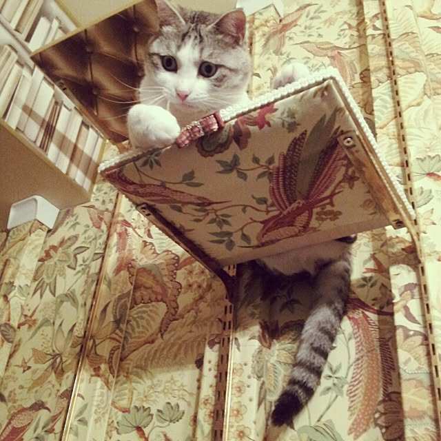 emmyyさんの実例写真