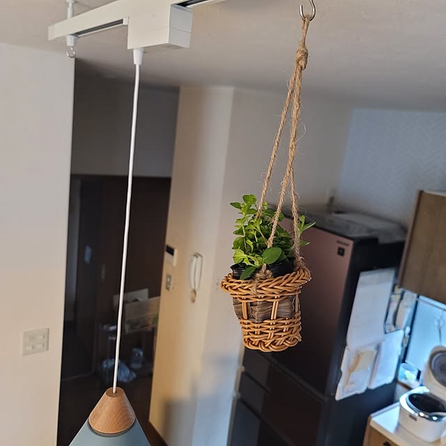 ibutanmama0704さんの部屋