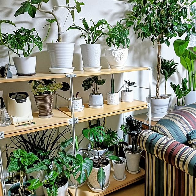 hanachanさんの部屋