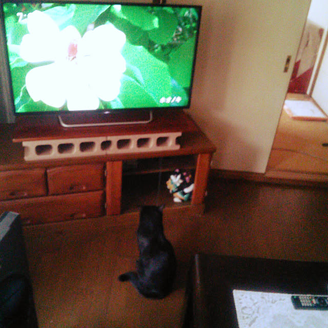Tomopさんの実例写真