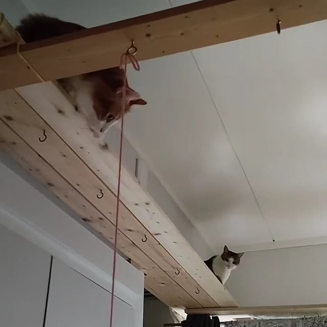 mori_6_12さんの実例写真