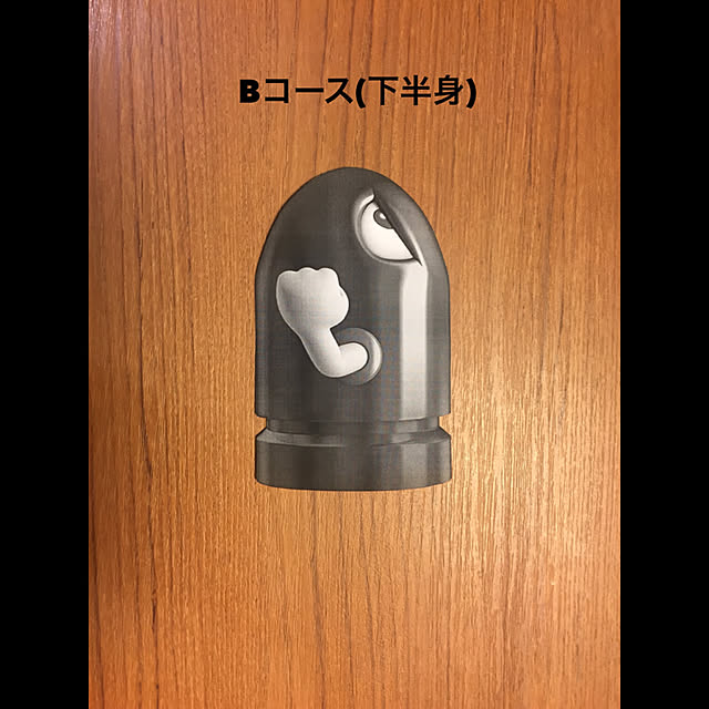 disk1mauloaさんの実例写真