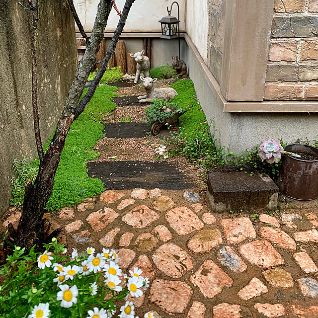 tabasaさんの実例写真
