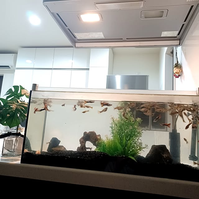 rikuerinka86さんの部屋