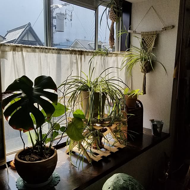 midoriさんの部屋