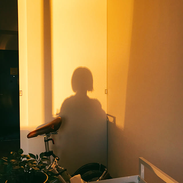chsさんの実例写真