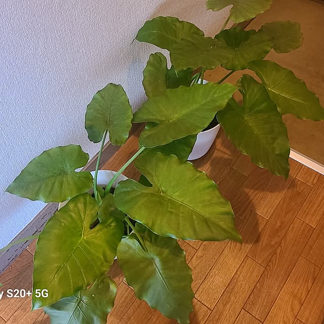 monnさんの部屋