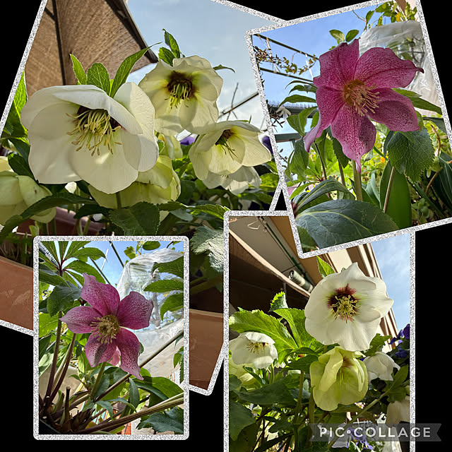 Aqettyさんの部屋