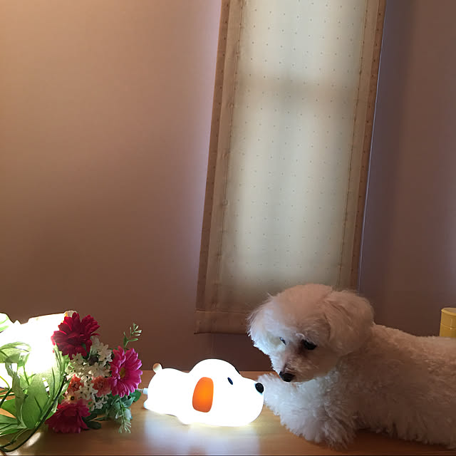 kakoさんの実例写真