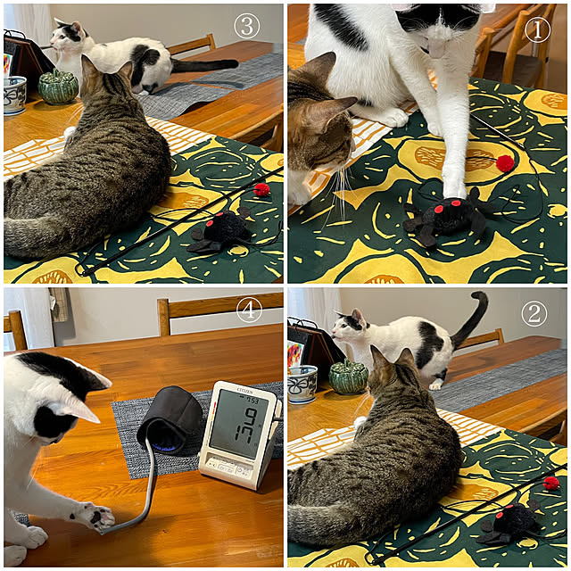 nobikoさんの実例写真