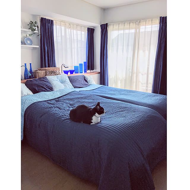 hiyo.pietさんの実例写真
