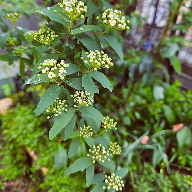 mocomocoさんの部屋