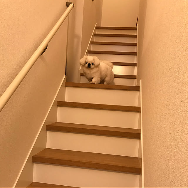 2500さんの実例写真
