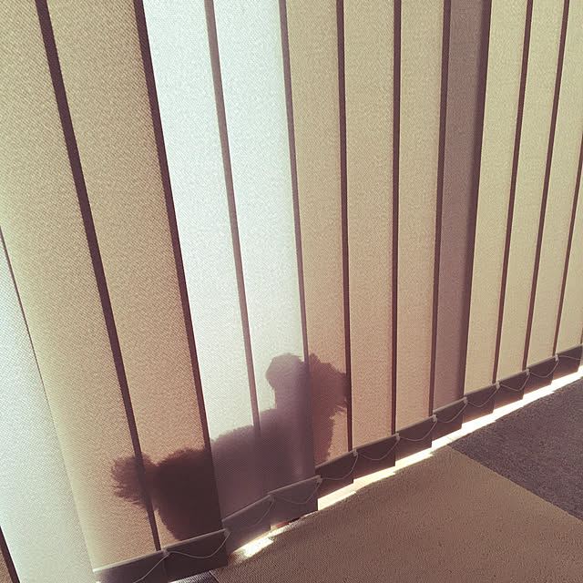 otsutaudonkoさんの実例写真