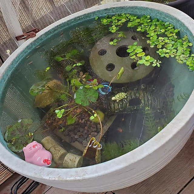 KOHAKUさんの実例写真