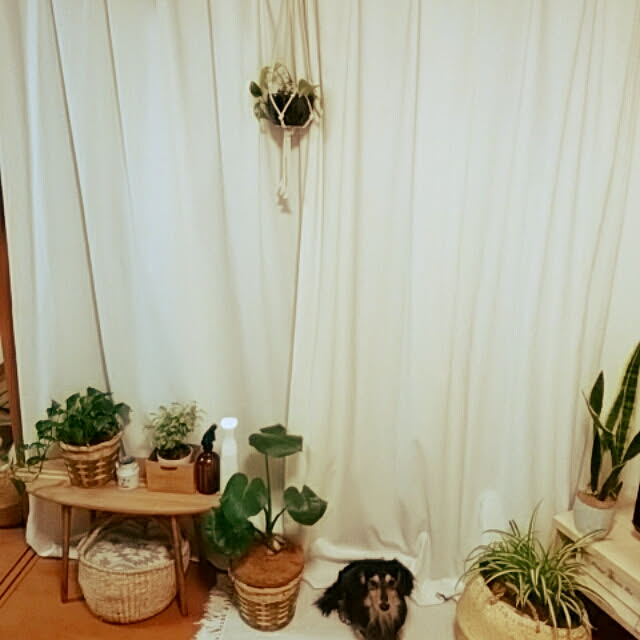 reonさんの実例写真