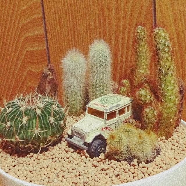 284さんの実例写真