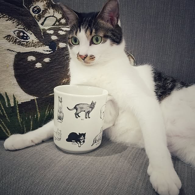 yuchiさんの実例写真
