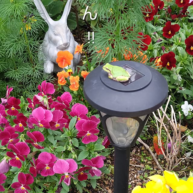 salacocoさんの実例写真