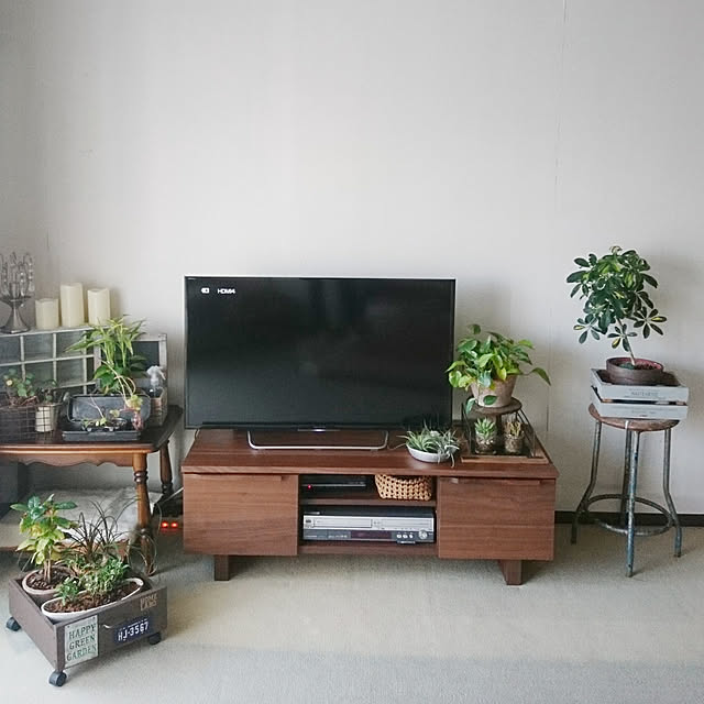greenwireさんの実例写真