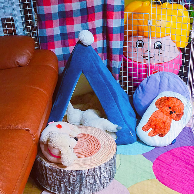 cherrycherryさんの実例写真