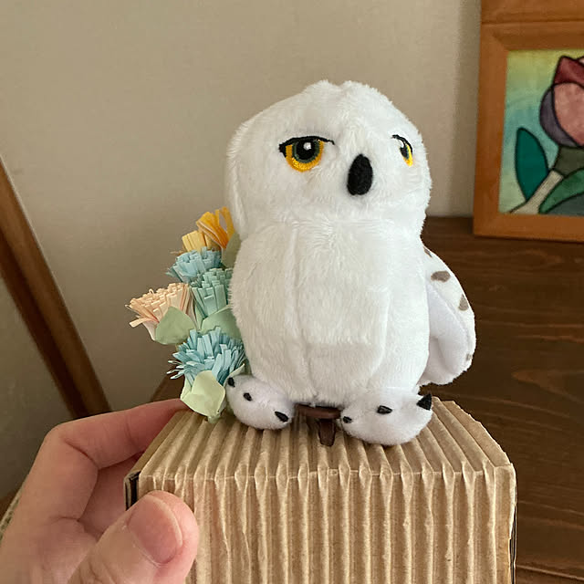 chiiyanさんの部屋