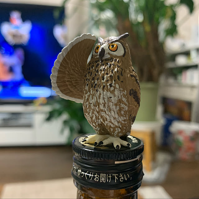 Aqettyさんの実例写真