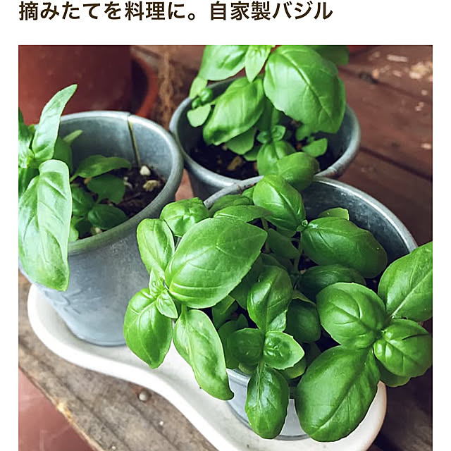 okyame-chanさんの実例写真