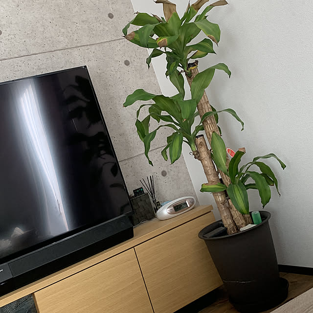 mizu..さんの実例写真