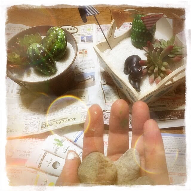 Diy Cactus/フェイクグリーン/DIY/多肉植物/バス/トイレのインテリア実例 - 2015-03-21 08:41:38