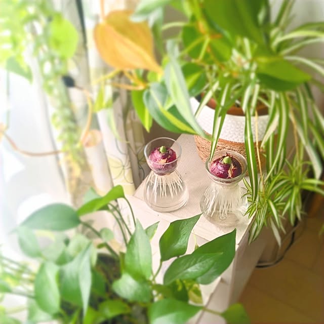 YuriYuriさんの実例写真