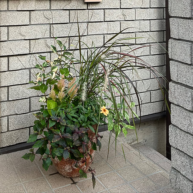 botanさんの部屋