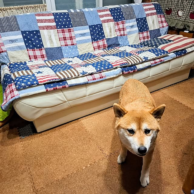 nanaさんの実例写真