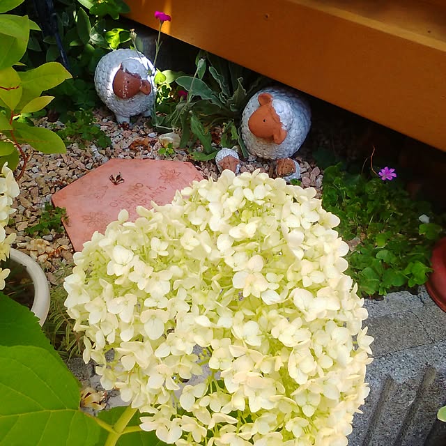 satochiさんの実例写真