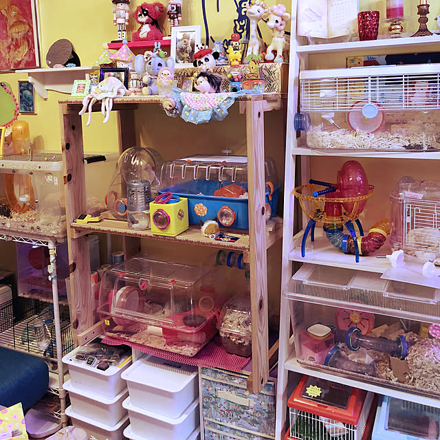 pochi3461さんの実例写真