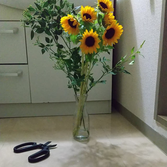 noaさんの実例写真
