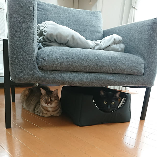 maikyさんの実例写真