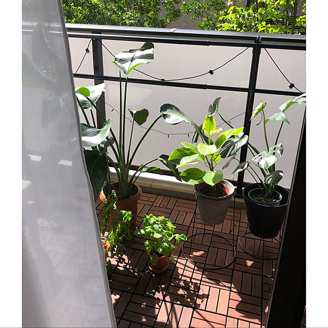 Umyco_designさんの実例写真