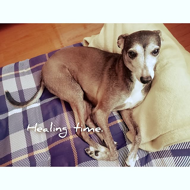 moruさんの部屋