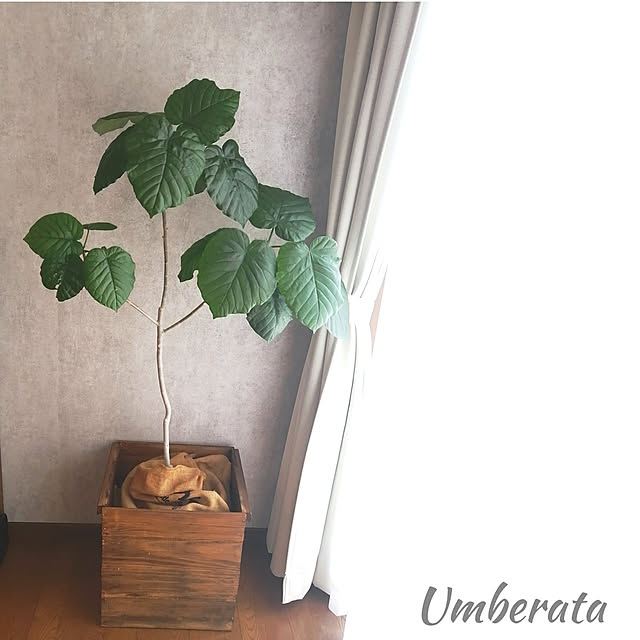 usarou_and_kamekoさんの実例写真