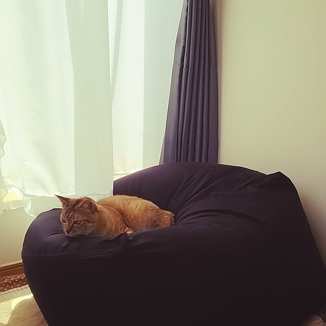 mokaさんの実例写真