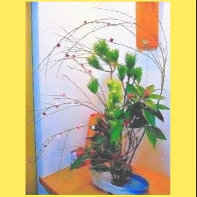 runaさんの実例写真