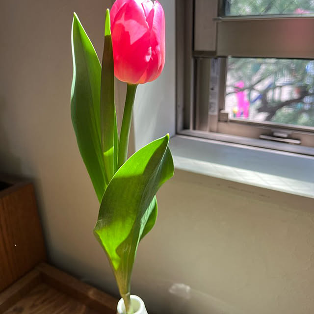 conyaさんの実例写真